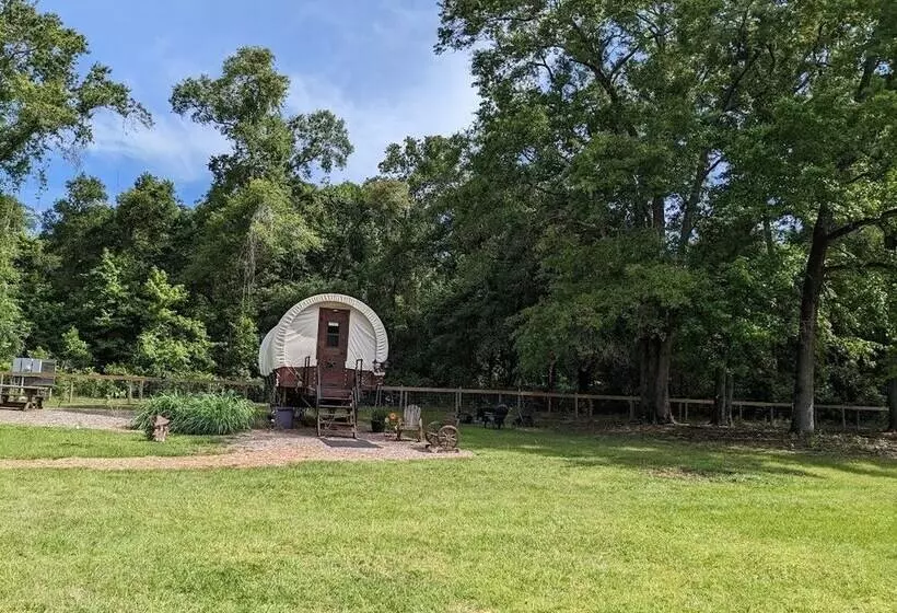 ホテル Rooterville Animal Sanctuary