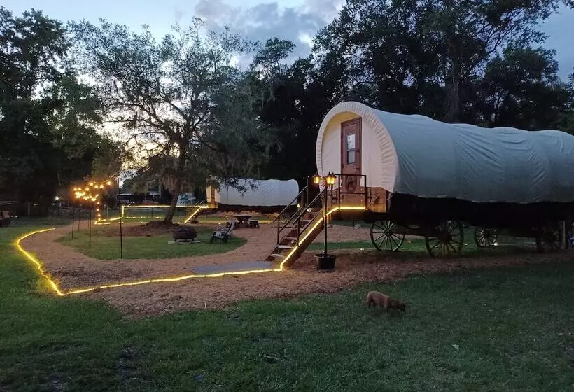 ホテル Rooterville Animal Sanctuary
