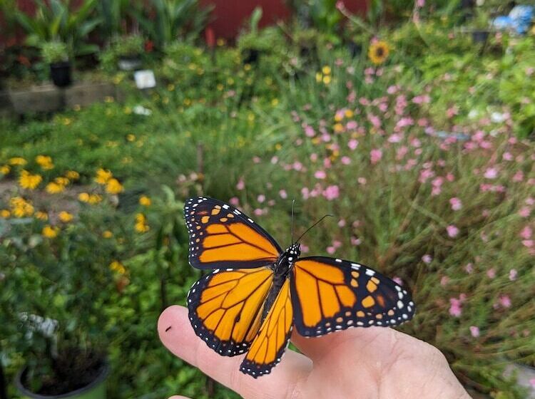 Отель Rooterville Animal Sanctuary