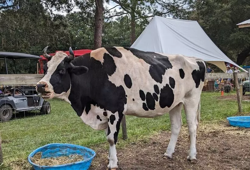 ホテル Rooterville Animal Sanctuary