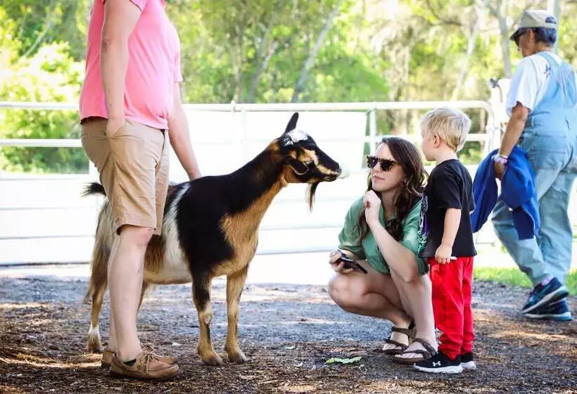 ホテル Rooterville Animal Sanctuary