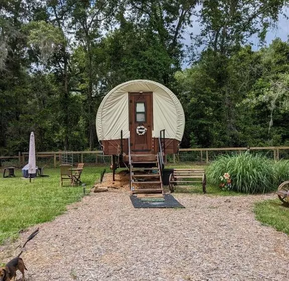 ホテル Rooterville Animal Sanctuary