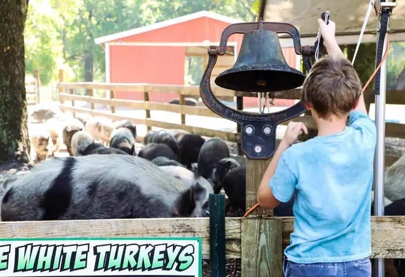ホテル Rooterville Animal Sanctuary