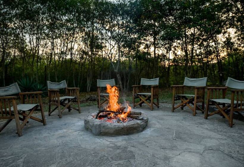 هتل Simba Safari Camp