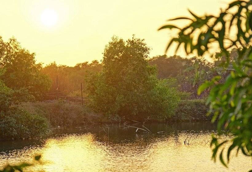 Hotelli Treebo Trend Resorte Ferro