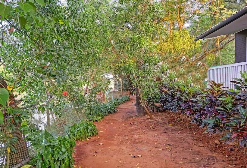 Hotelli Treebo Trend Resorte Ferro