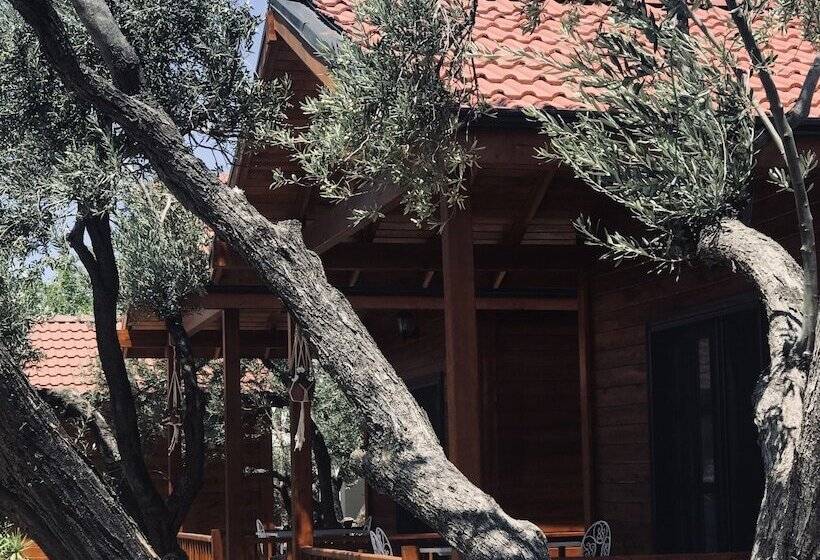 پانسیون Milo Cunda