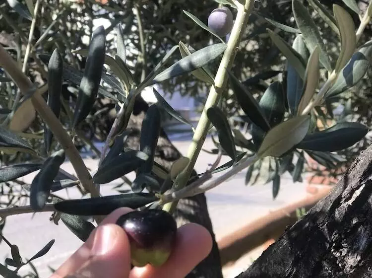 ペンション Milo Cunda