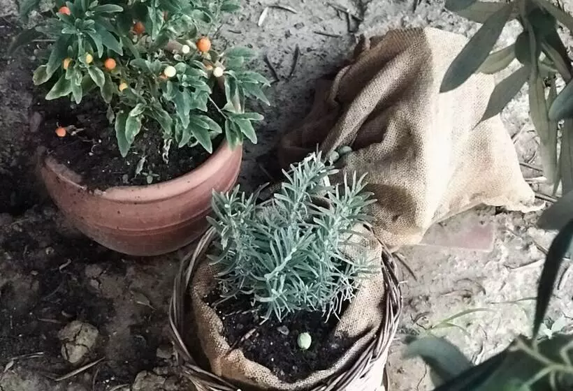 ペンション Milo Cunda