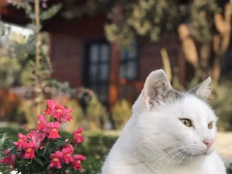 ペンション Milo Cunda