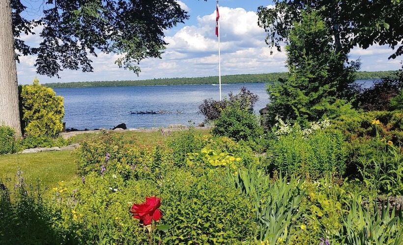 Bobcaygeon Bed And Breakfast