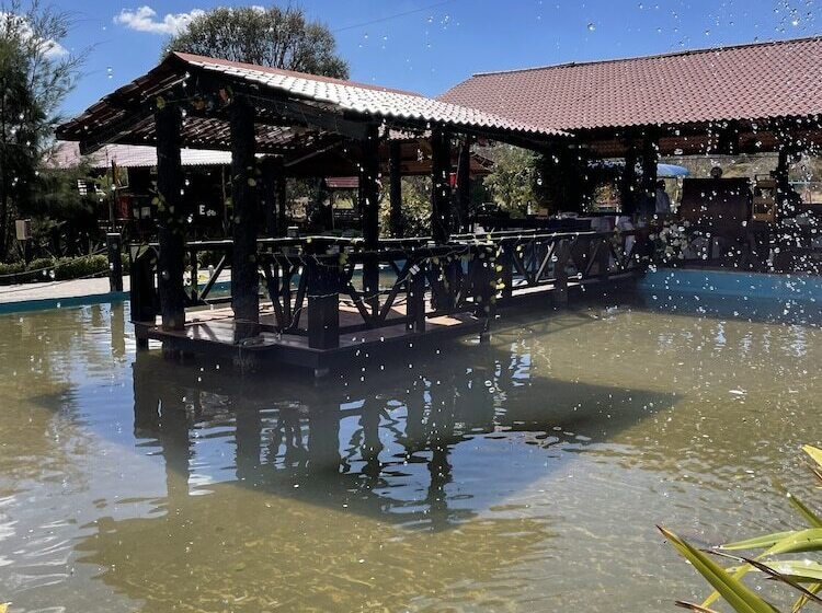 酒店 Cabañas Los Agaves