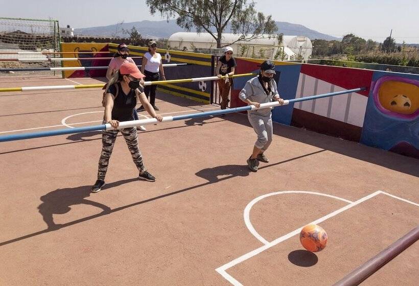 酒店 Cabañas Los Agaves