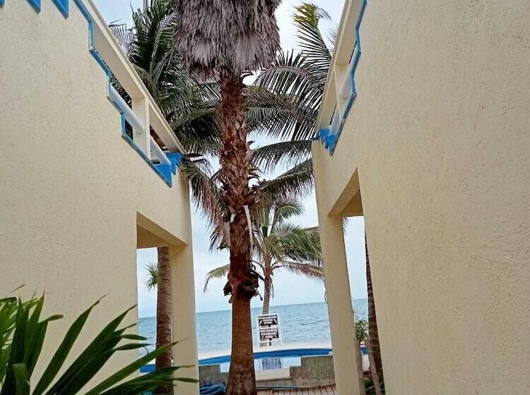 فندق Casa Cenote