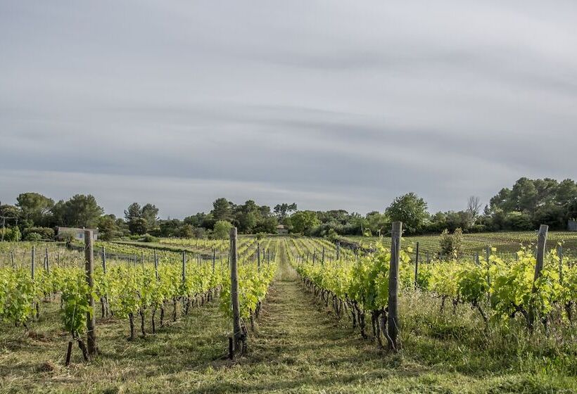 호텔 Domaine Rabiega   Vineyard And Boutique