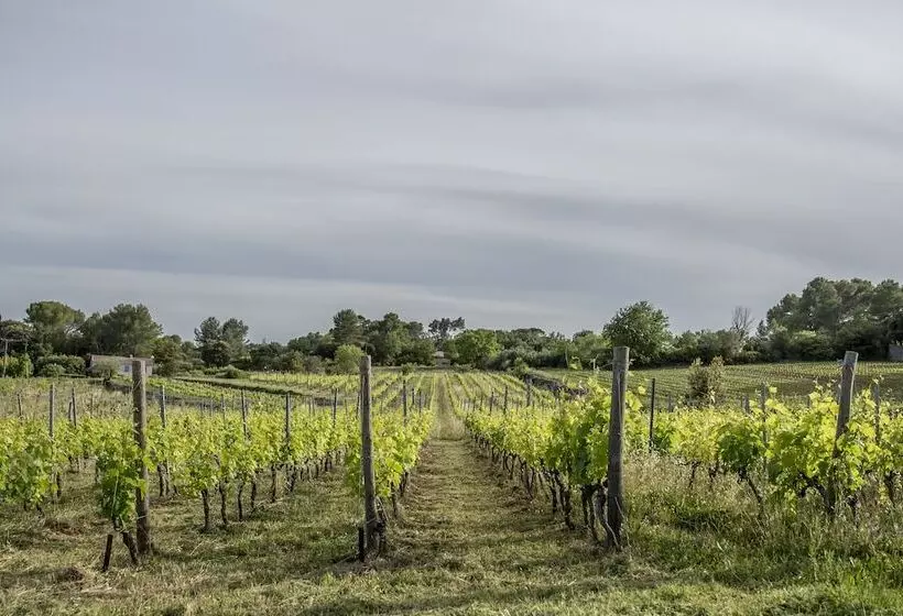Hotelli Domaine Rabiega   Vineyard And Boutique