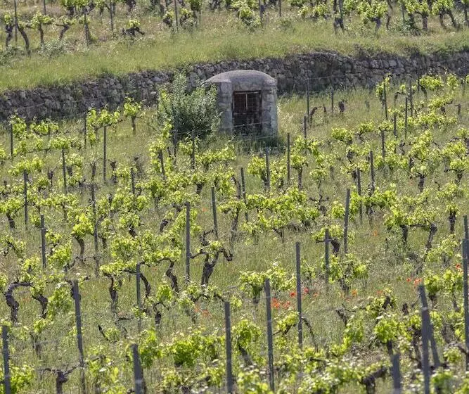 Hotelli Domaine Rabiega   Vineyard And Boutique