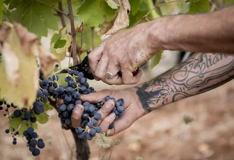 Hotelli Domaine Rabiega   Vineyard And Boutique