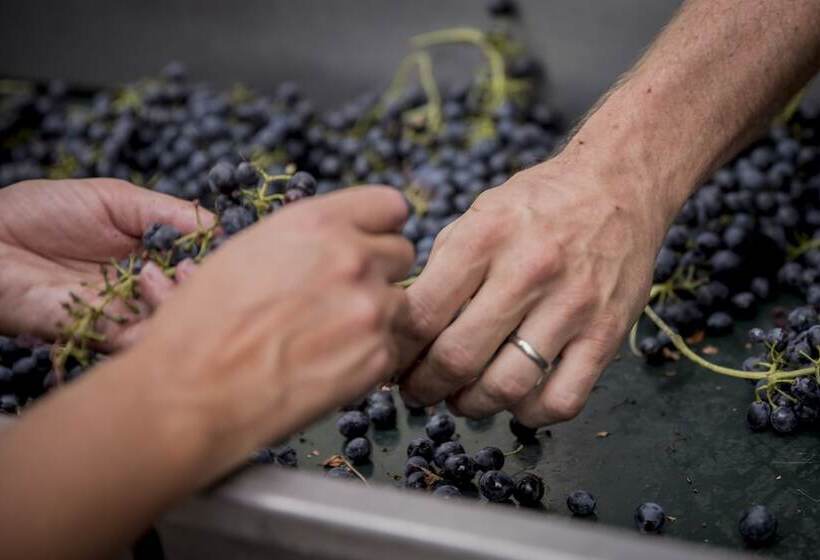 호텔 Domaine Rabiega   Vineyard And Boutique