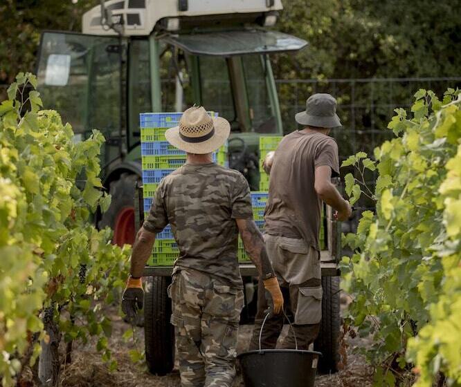 호텔 Domaine Rabiega   Vineyard And Boutique