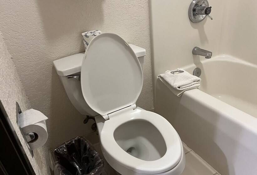 Otel Express Inn & Suites