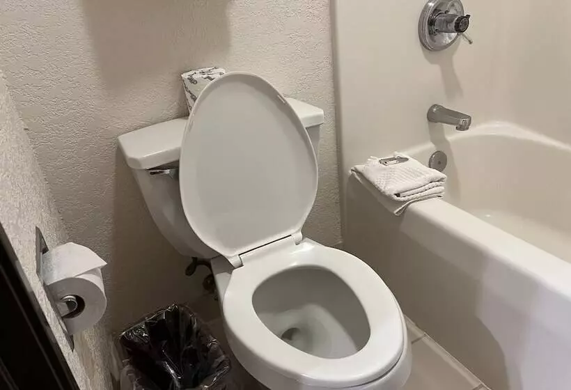 Hotelli Express Inn & Suites