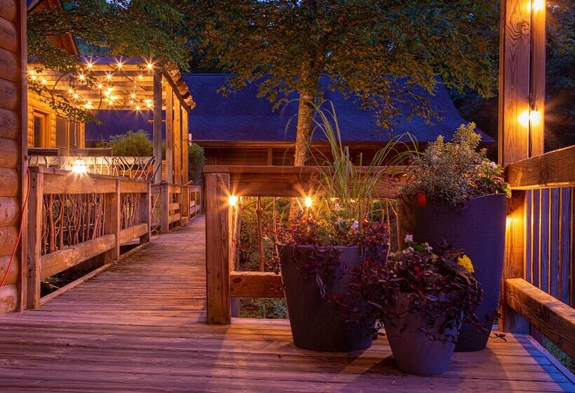 호텔 Mount Mitchell Eco Retreat