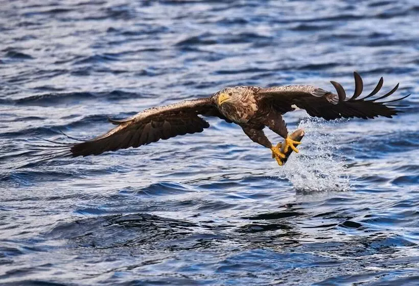 ホテル Ringstad Resort