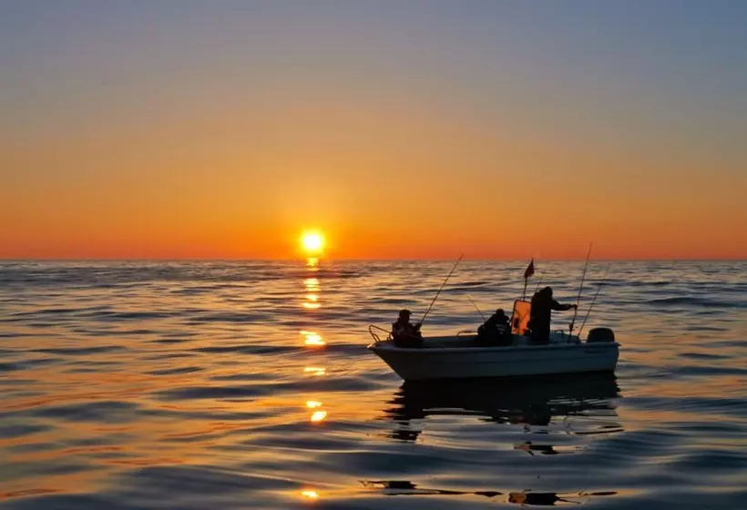 ホテル Ringstad Resort