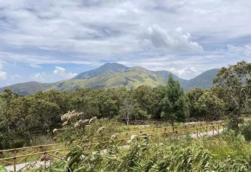 Hotel Supercamp Sakura Hills