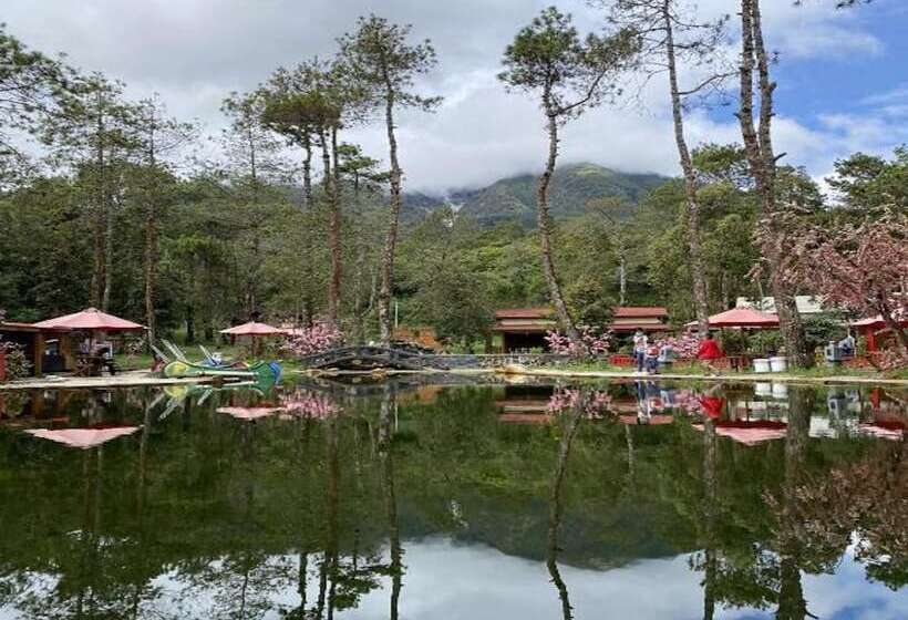 Отель Supercamp Sakura Hills