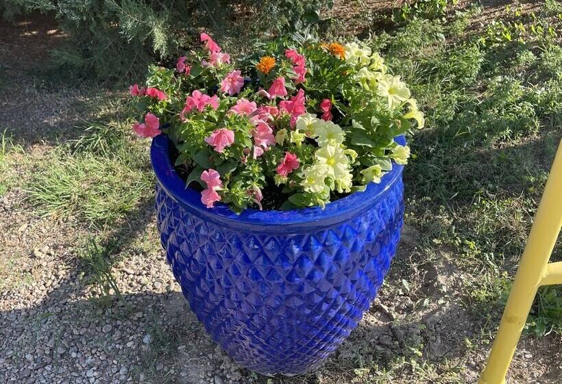 La Junta Colorado Cabins