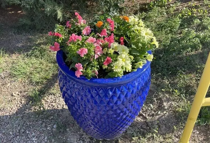 La Junta Colorado Cabins