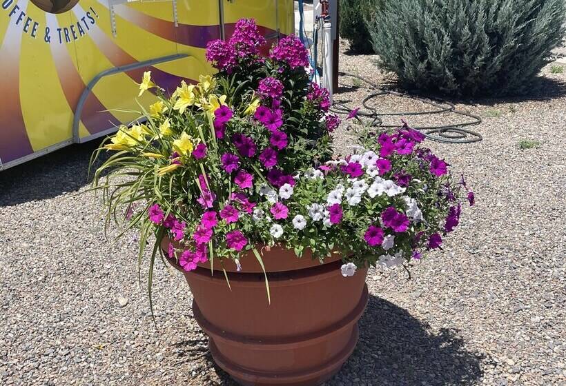 La Junta Colorado Cabins