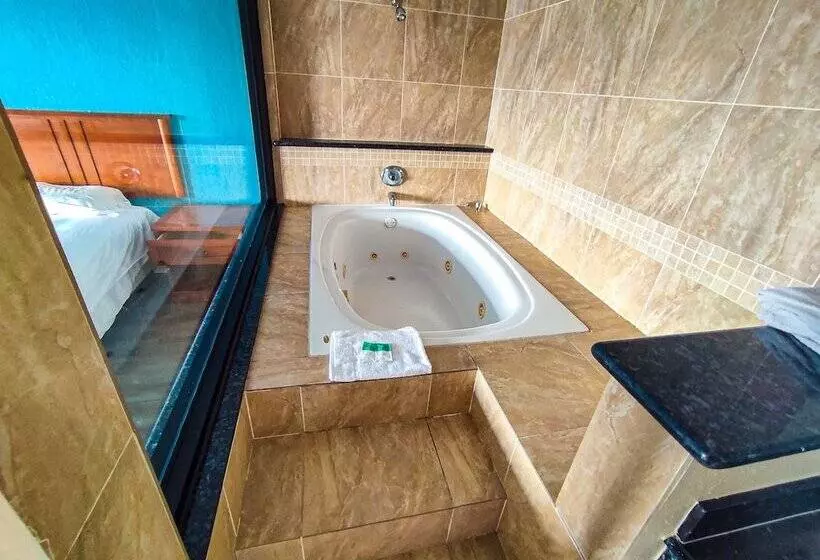 モーテル Clover Inn & Suites