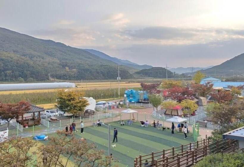 פנסיון Cheongdo Wonderland Dog Camping Caravan