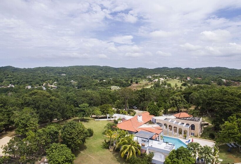 پانسیون High Life Villa