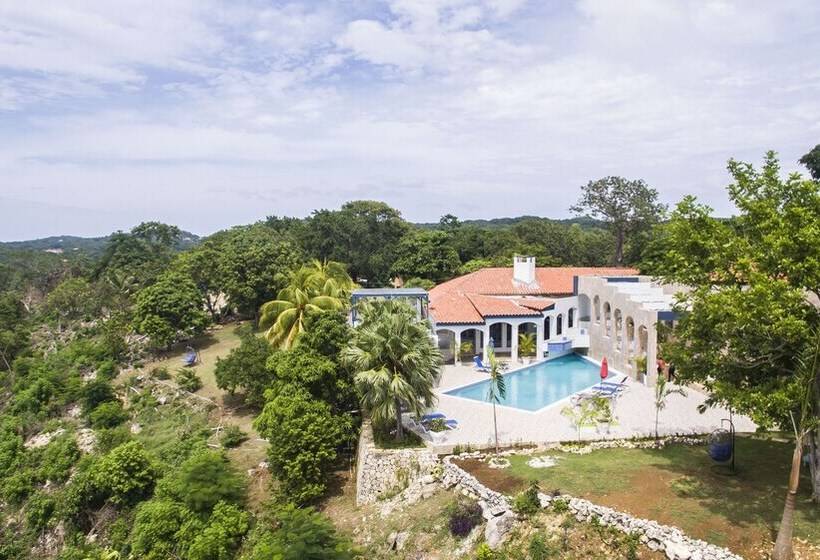 پانسیون High Life Villa