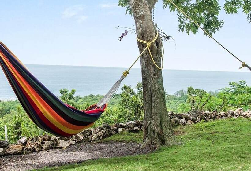 پانسیون High Life Villa