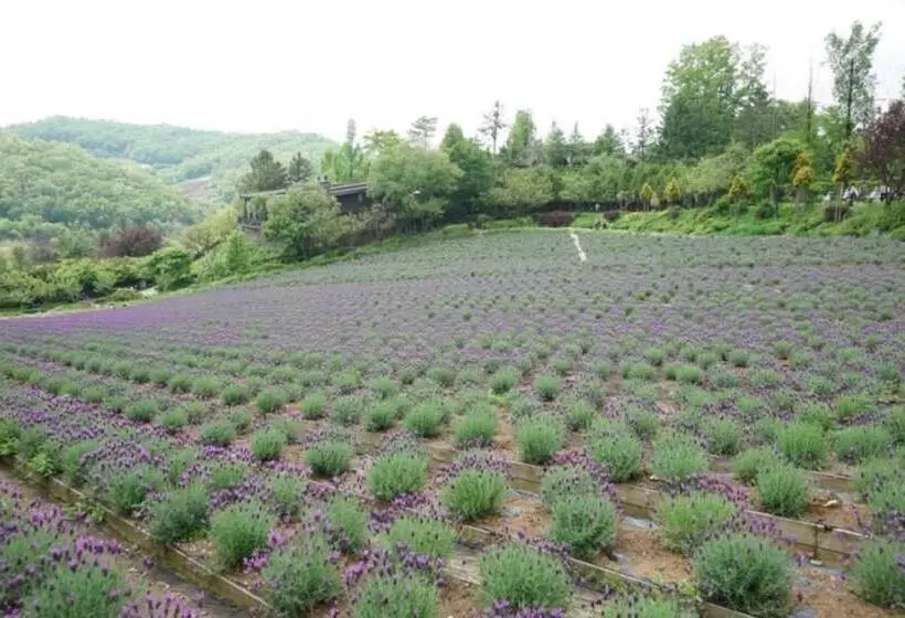 Yeoncheon Herb Village Pension