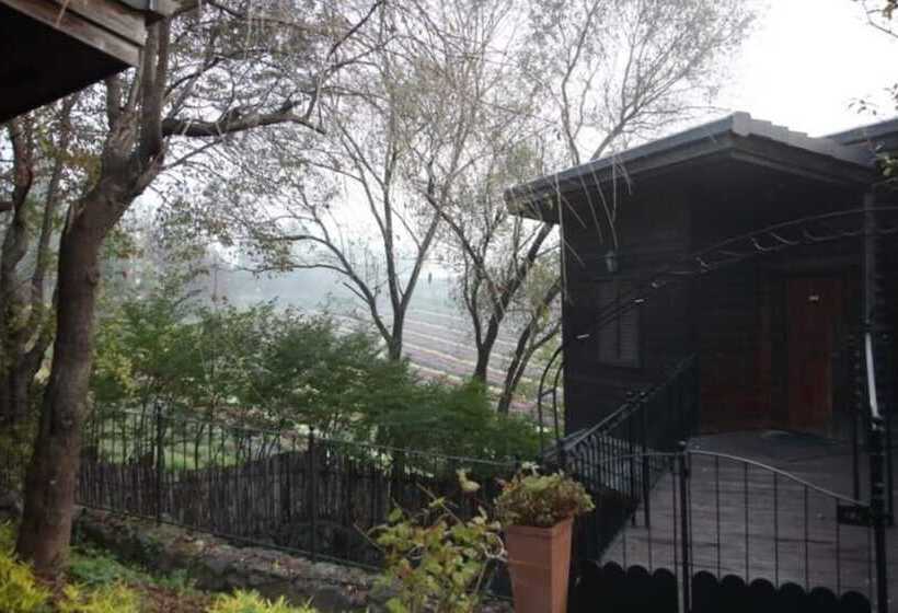 Yeoncheon Herb Village Pension