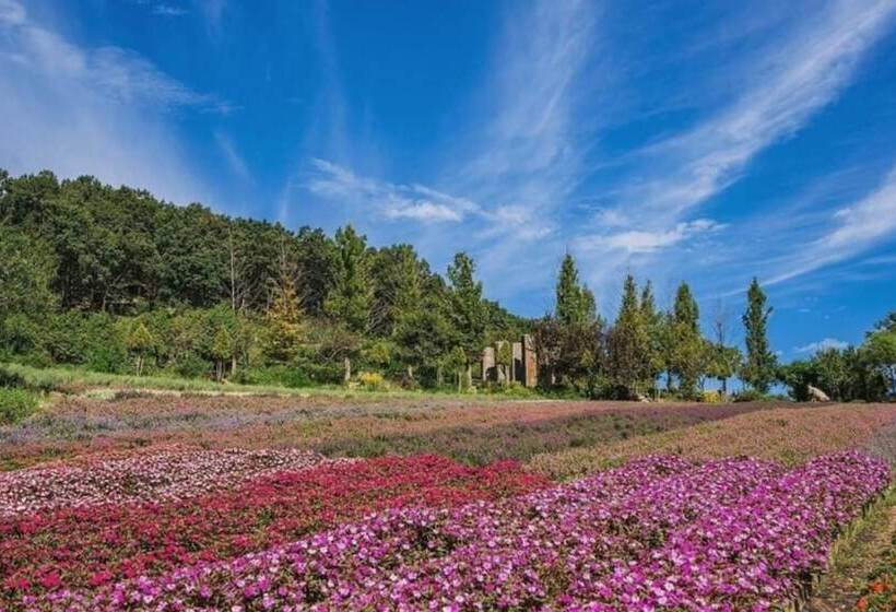 Yeoncheon Herb Village Pension