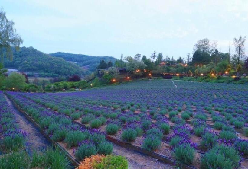 Yeoncheon Herb Village Pension