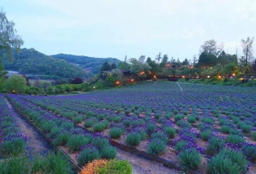 Yeoncheon Herb Village Pension