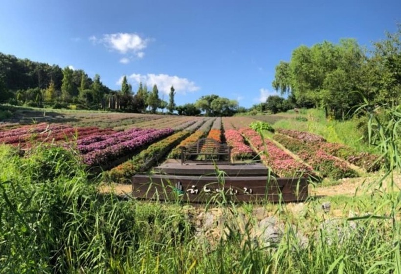 Yeoncheon Herb Village Pension