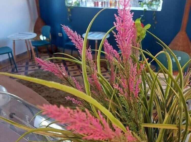 Arena Suites Hotel Asunción