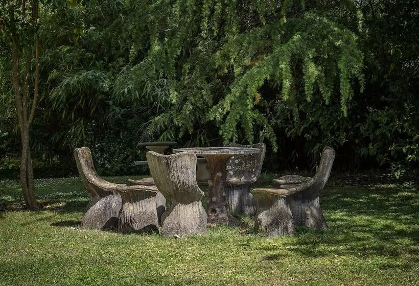 B&b Château Les Orchidées Saumur