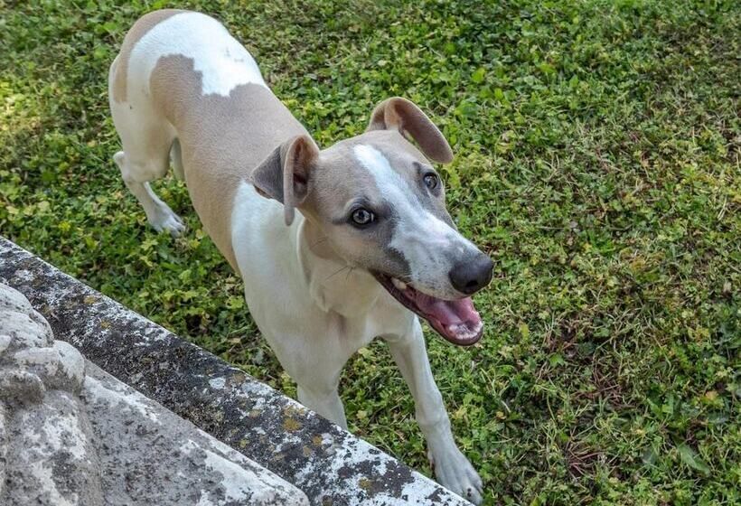 B&b Château Les Orchidées Saumur