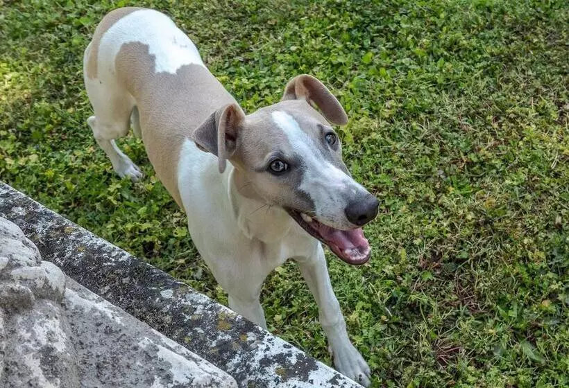 B&b Château Les Orchidées Saumur