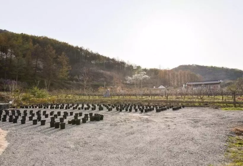 Chungju Garden Story Pension